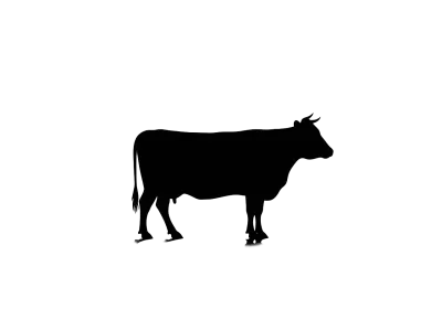 Imagen PNG para descargar